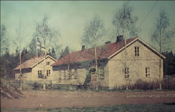Salmi 1956